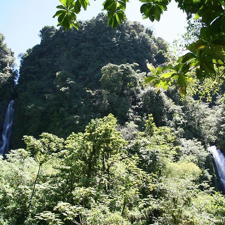 Natty Tropical Valley روسو المظهر الخارجي الصورة