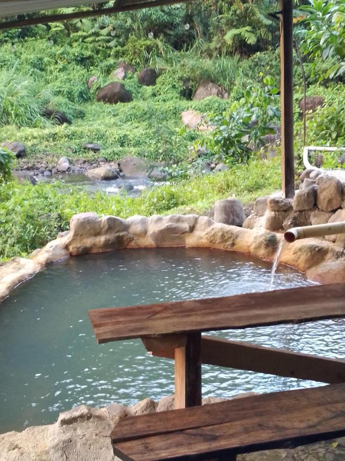 Natty Tropical Valley روسو المظهر الخارجي الصورة