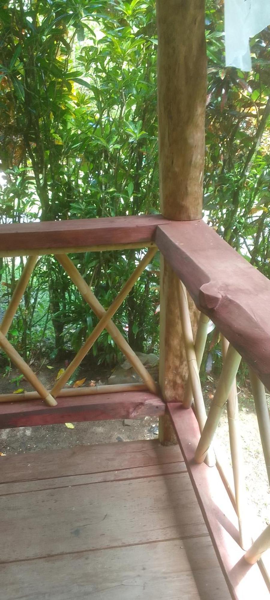 Natty Tropical Valley روسو المظهر الخارجي الصورة