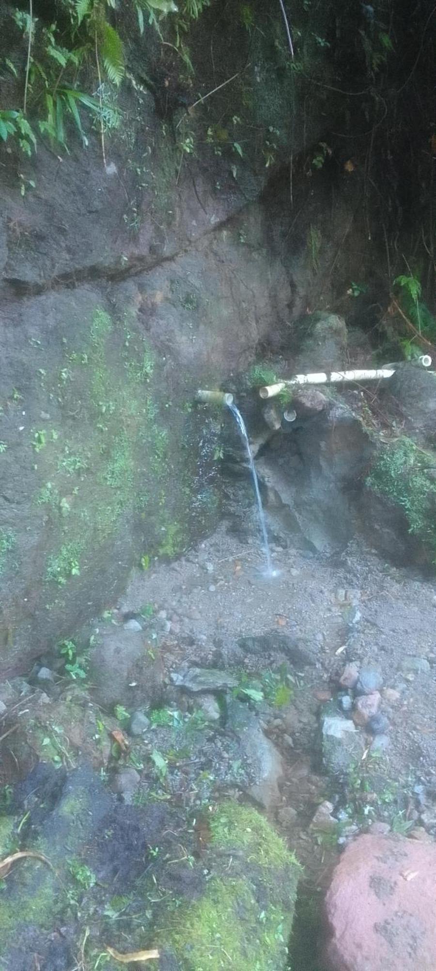 Natty Tropical Valley روسو المظهر الخارجي الصورة