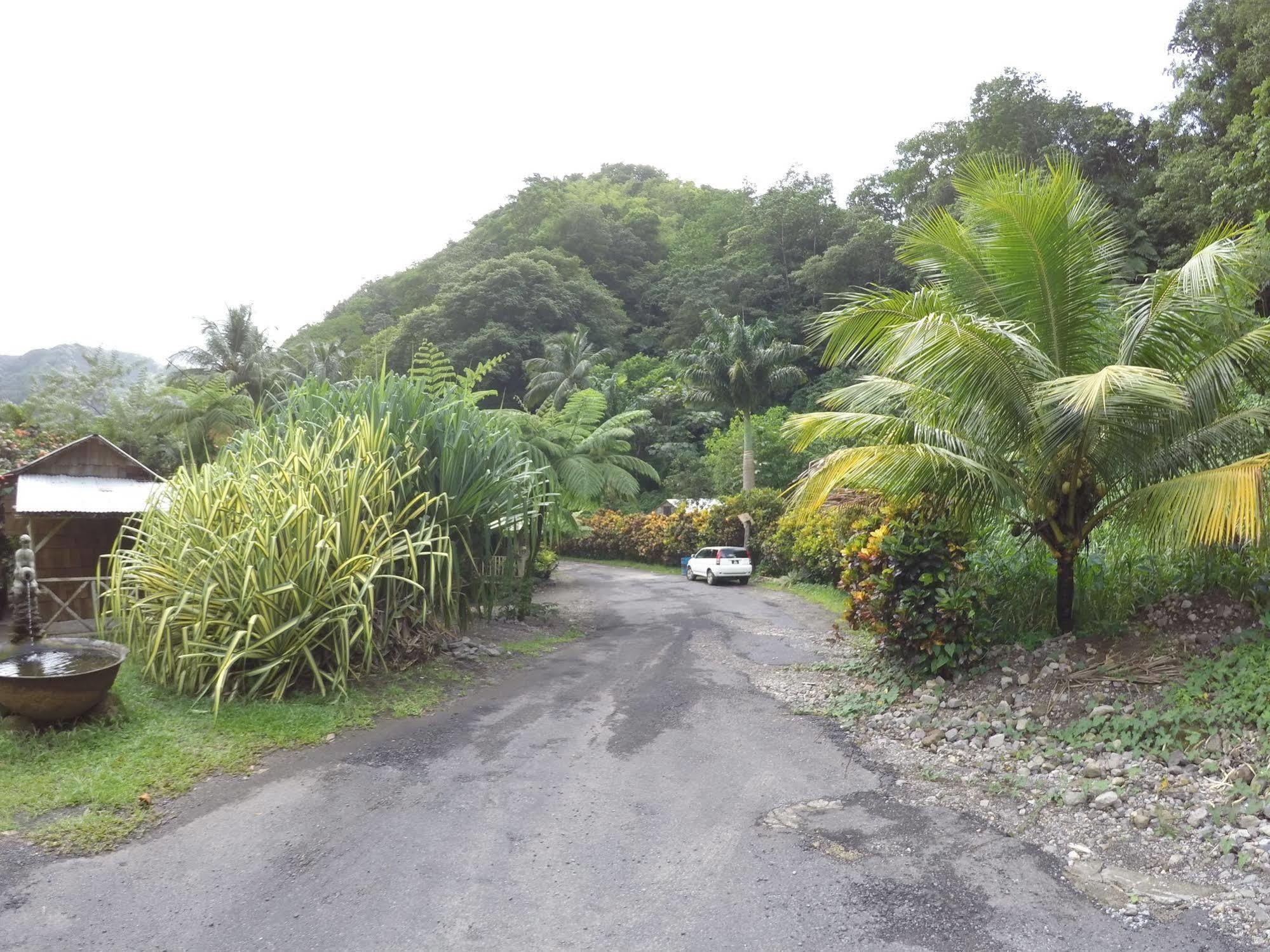 Natty Tropical Valley روسو المظهر الخارجي الصورة